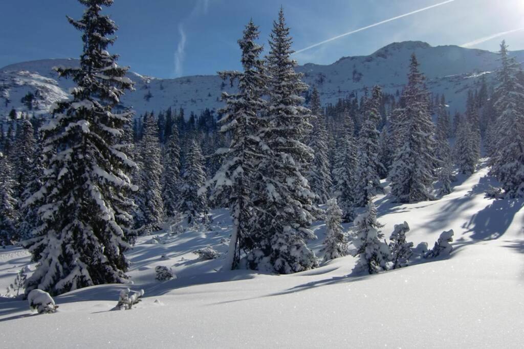 Ferienwohnung Moersbachblick Donnersbachwald Exteriör bild