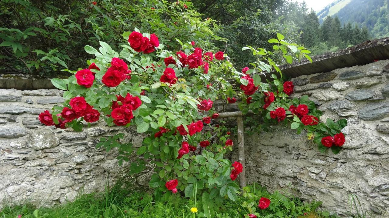 Ferienwohnung Moersbachblick Donnersbachwald Exteriör bild